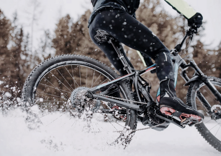 Winter Clearance
