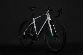 Chapter 2 - Ao Disc - Frameset - TCR Sport Lab