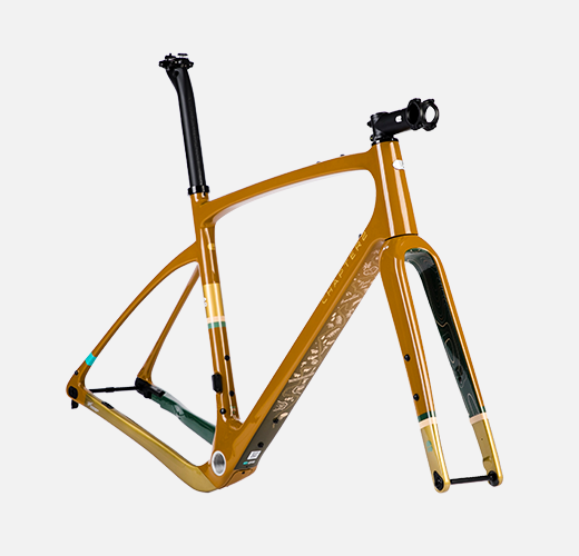 Chapter 2 - Ao Disc - Frameset - TCR Sport Lab