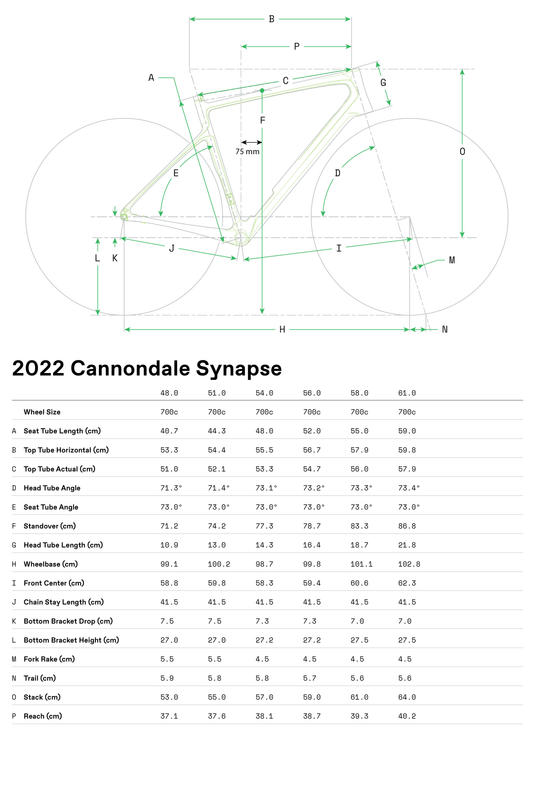 Cannondale - Synapse Carbon 2 - Ultegra Di2 - - TCR Sport Lab