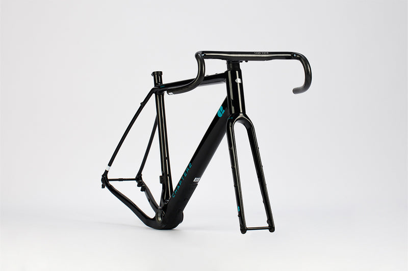 Load image into Gallery viewer, Chapter 2 Kaha Custom Bike Build - TCR Sport Lab
