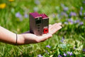 Load image into Gallery viewer, Silca - Elettrico Pump - Ultimate
