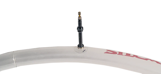 Silca  Tubes  TPU  PV 70mm  24-43mm