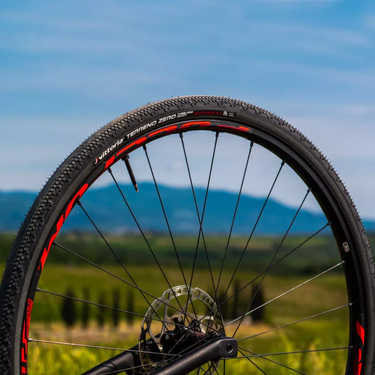 Vittoria - Terreno Zero Gravel Endurance - Anth - - TCR Sport Lab